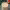 https://res.cloudinary.com/billionhands/image/upload/v1780230651/items/entgcrhlvyahc8yqadlq.webp-3cover