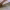 https://res.cloudinary.com/billionhands/image/upload/v1780231343/items/z1nb8swdalnyneqmmonj.jpg-3cover