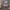 https://res.cloudinary.com/billionhands/image/upload/v1780231449/items/fxeu3vxtrfdrhmeoe2vb.png-0cover