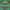 https://res.cloudinary.com/billionhands/image/upload/v1780237761/items/toexmlvbct5rqywwz10p.webp-1cover
