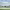 https://res.cloudinary.com/billionhands/image/upload/v1780238863/items/js6jvupl3igdihelt3ph.jpg-1cover