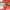 https://res.cloudinary.com/billionhands/image/upload/v1780238864/items/hox61ltx2ddonz9bwpyt.webp-2cover