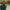 https://res.cloudinary.com/billionhands/image/upload/v1780241102/items/yzauo55g9h34jgta7qmi.webp-2cover