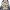 https://res.cloudinary.com/billionhands/image/upload/v1780242913/items/plyvqjbvashpabozkns8.webp-2cover