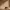 https://res.cloudinary.com/billionhands/image/upload/v1780245246/items/dkfxqvxsf46dr37ud5cr.webp-1cover