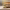 https://res.cloudinary.com/billionhands/image/upload/v1780245255/items/vydxjvwj3tklervqbeka.webp-3cover