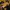 https://res.cloudinary.com/billionhands/image/upload/v1780246035/items/itg34popqqjpqhw6apot.jpg-2cover