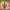 https://res.cloudinary.com/billionhands/image/upload/v1780247981/items/dapb7m2tqniwyz0yxcrx.jpg-1cover