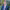 EY Abogados (Legal and Tax Alerts) cover