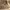 https://res.cloudinary.com/billionhands/image/upload/v1780254400/items/aumrp9gaxn5mc1wybemt.jpg-0cover
