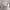 https://res.cloudinary.com/billionhands/image/upload/v1780257689/items/anwzvjdhcubmuerm0o28.jpg-2cover
