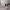 https://res.cloudinary.com/billionhands/image/upload/v1780257689/items/clzbilexb3uvfihtgwsw.jpg-1cover