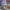 https://res.cloudinary.com/billionhands/image/upload/v1780259871/items/krwjjiscvb3fminbsbwa.jpg-3cover