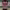 https://res.cloudinary.com/billionhands/image/upload/v1780263134/items/sffsfjmlp2lg3cr3ceou.webp-3cover