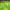https://res.cloudinary.com/billionhands/image/upload/v1780267257/items/kbrevd28eaeqoginhzkt.jpg-3cover