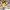 https://res.cloudinary.com/billionhands/image/upload/v1780267264/items/b9ingajo5lt3fxnkfga1.jpg-2cover