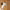 https://res.cloudinary.com/billionhands/image/upload/v1780268805/items/jglvm2obxeda93eafumw.webp-3cover
