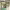 https://res.cloudinary.com/billionhands/image/upload/v1780270127/items/busu4tcsthvwud9gbhnv.jpg-0cover