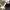https://res.cloudinary.com/billionhands/image/upload/v1780271010/items/s2yzeecixflucztopufo.jpg-3cover