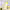 https://res.cloudinary.com/billionhands/image/upload/v1780271356/items/pcqbak0v8tciifvrutkt.jpg-1cover