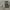https://res.cloudinary.com/billionhands/image/upload/v1780271961/items/pxpnsnkdsg8vvrotagrs.jpg-0cover
