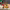 https://res.cloudinary.com/billionhands/image/upload/v1780271972/items/rmvrxvvsmpu22uevrt0l.jpg-2cover