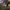 https://res.cloudinary.com/billionhands/image/upload/v1780276302/items/dgb7naxd8d1zv4qoypls.jpg-2cover