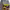 https://res.cloudinary.com/billionhands/image/upload/v1780276635/items/pv2ngqurtgxkbpmtqwoz.webp-3cover
