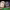 https://res.cloudinary.com/billionhands/image/upload/v1780278161/items/p997wyhyqwvpqyjzmjek.webp-3cover