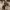 https://res.cloudinary.com/billionhands/image/upload/v1780278164/items/ejuvqrk5ba1xvrjhu5oy.jpg-1cover