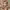 https://res.cloudinary.com/billionhands/image/upload/v1780278510/items/lgstycvzvmlhpmkzpfgn.webp-2cover