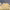 https://res.cloudinary.com/billionhands/image/upload/v1780280892/items/phznwfvdlrl5rzriusng.webp-0cover