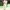 https://res.cloudinary.com/billionhands/image/upload/v1780281162/items/sbhqm8s2fkgmxzgophii.webp-2cover