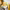https://res.cloudinary.com/billionhands/image/upload/v1780283706/items/wibgurk6k4kevcw1wxz2.jpg-1cover