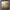 https://res.cloudinary.com/billionhands/image/upload/v1780287526/items/frhhmj1jfnfyxiurxpol.jpg-3cover