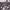 https://res.cloudinary.com/billionhands/image/upload/v1780288679/items/cdn1l6cjlnjybbgiftsu.avif-1cover
