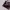 https://res.cloudinary.com/billionhands/image/upload/v1780291822/items/rlhkkivp3onw3vftogqh.jpg-1cover