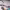https://res.cloudinary.com/billionhands/image/upload/v1780291823/items/z5ozop2buszrvuoj5dwf.webp-2cover