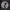https://res.cloudinary.com/billionhands/image/upload/v1780292091/items/zmtfsfwivdbiaz17szff.jpg-3cover
