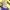 https://res.cloudinary.com/billionhands/image/upload/v1780294377/items/fxmadxbfqqvay4bdwrh3.webp-1cover