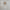 https://res.cloudinary.com/billionhands/image/upload/v1780297645/items/bhkaf52zryk4r5ml3p9a.jpg-3cover