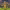 https://res.cloudinary.com/billionhands/image/upload/v1780298873/items/mgkhifnotzxzvwzwlrpv.jpg-0cover