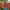 https://res.cloudinary.com/billionhands/image/upload/v1780298879/items/iipunaphqc30fqbunnxv.jpg-1cover