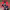 https://res.cloudinary.com/billionhands/image/upload/v1780305541/items/di1x9p8nqqq6lxeiz2qe.jpg-1cover