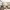 Salones de belleza expertos en cortes shixie ranking cover