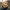 https://res.cloudinary.com/billionhands/image/upload/v1780306742/items/crrqxhoec9nzetfnjjeg.webp-2cover