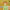 https://res.cloudinary.com/billionhands/image/upload/v1780312387/items/g4rkudgsfqwfpuwacri2.jpg-1cover