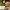 https://res.cloudinary.com/billionhands/image/upload/v1780312779/items/csgohnt0jypuworvhh2i.webp-1cover