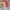 https://res.cloudinary.com/billionhands/image/upload/v1780313387/items/fgubsujv3uhqmcmwt5lx.webp-1cover
