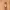 https://res.cloudinary.com/billionhands/image/upload/v1780313418/items/z92n4j9zcggik0x1oze5.webp-2cover